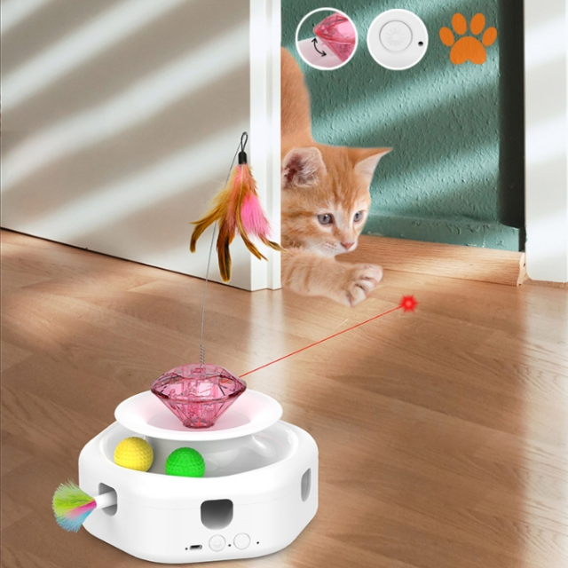 Enhancing Your Cats Playtime