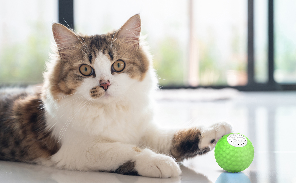 enrichment toys for cats