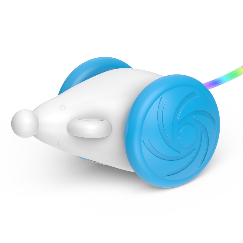 Interactive Cat Toys