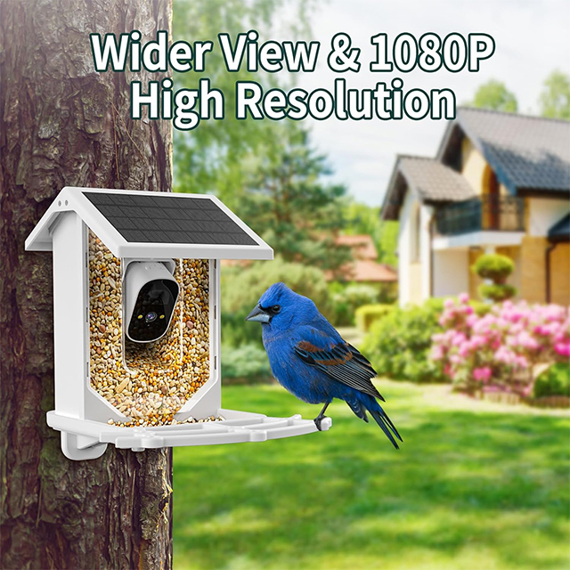 Smart Bird Feeder: HD Camera, Solar Panel, Two-Way Audio