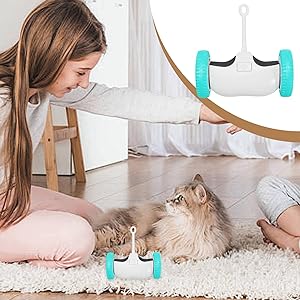 2.Designed for all cat ages Cat Interactive Toys