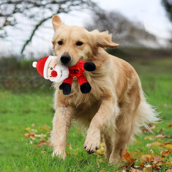 Plush Dog Toys