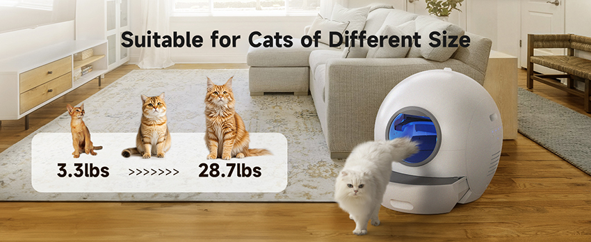 4.Smart Connectivity & Monitoring Cat Litter Box