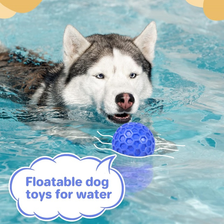 5 dog toy balls.jpg
