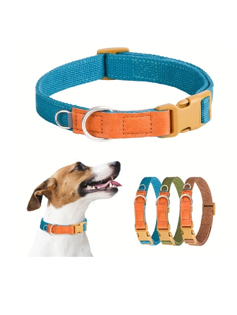 Dog Collars