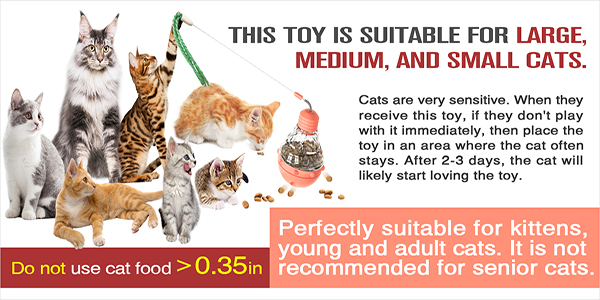2.cat treat toy puzzle