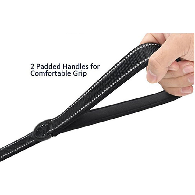 Wehao Dog Leash Dual Handles Nylon Traffic Reflective 360 Clasp