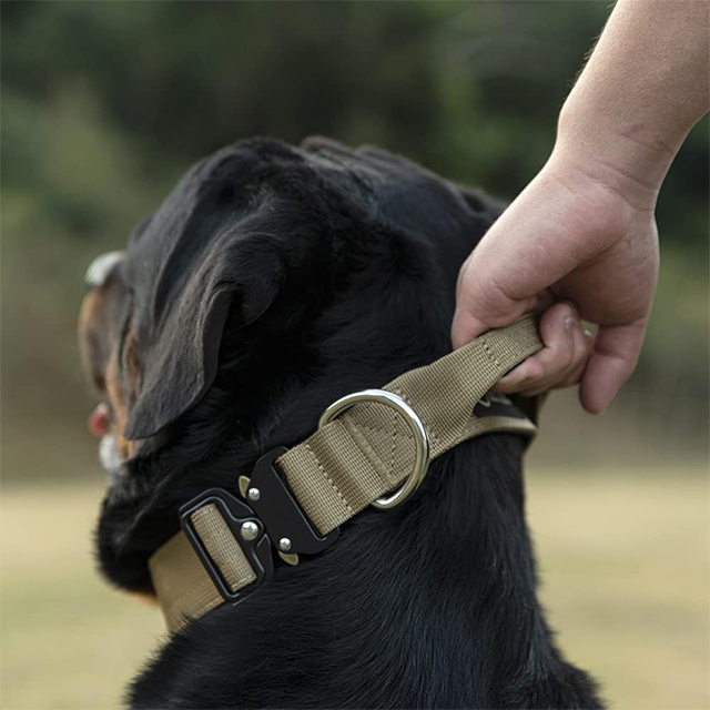 Wehao Premium Heavy Duty Dog Collar with Padded Handle