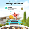 Wehao Smart Bird Feeder with AI Camera, Solar Power, and 6-in-1 Perch