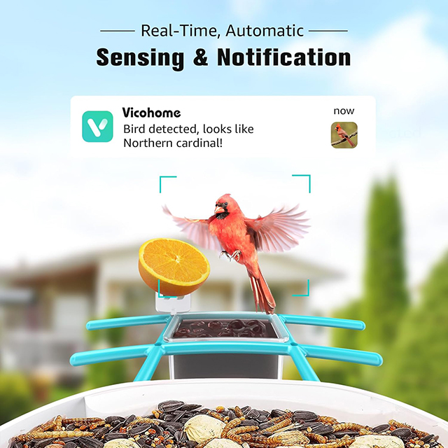 Wehao Smart Bird Feeder with AI Camera, Solar Power, and 6-in-1 Perch