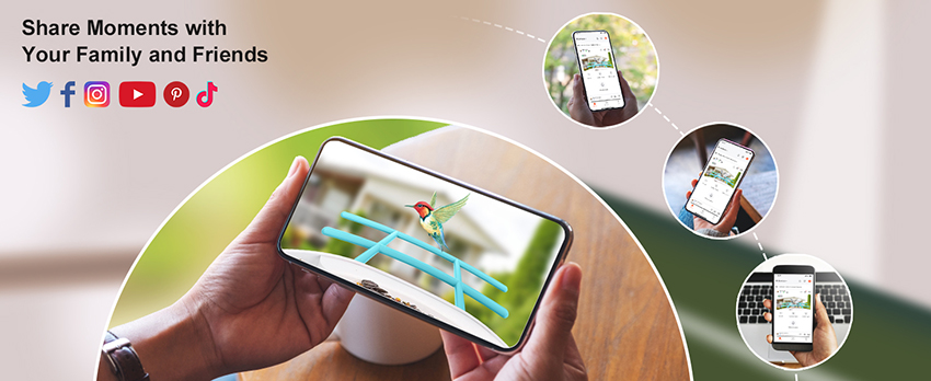 3、Bird Feeder with Camera Reviews