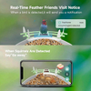 Wehao Smart AI Bird Feeder Camera Motion Detection Solar-Powered