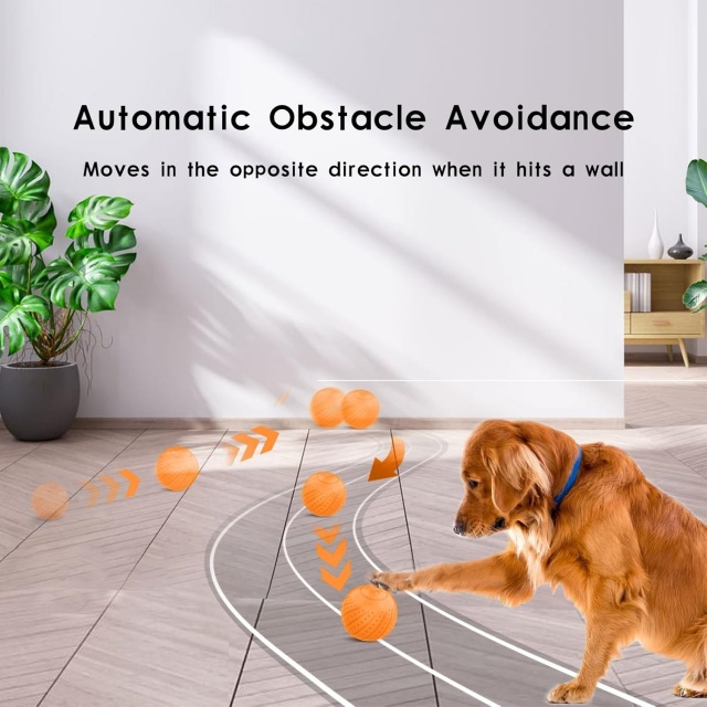 Pet Product Manufacturers Electronic Remote Interactive Ball Dog Toys