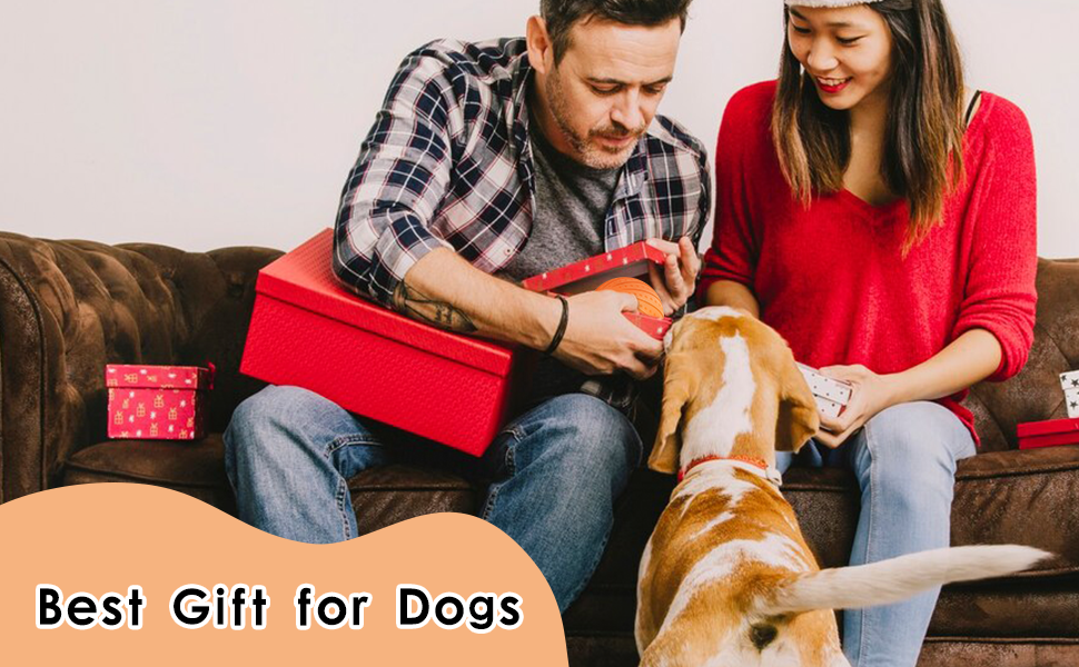 Toys For Bored Dogs