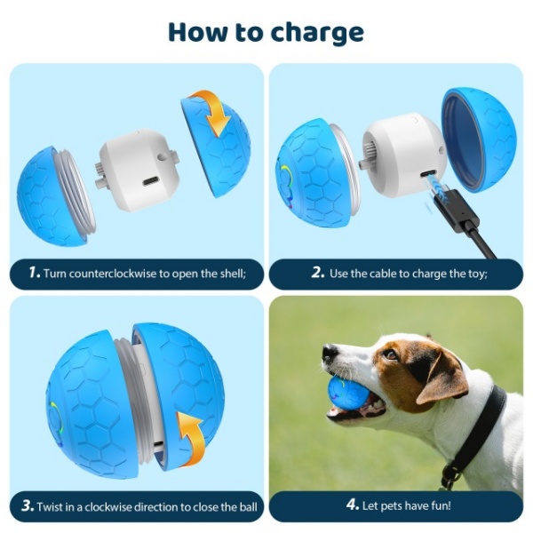 Dog And Cat Toys