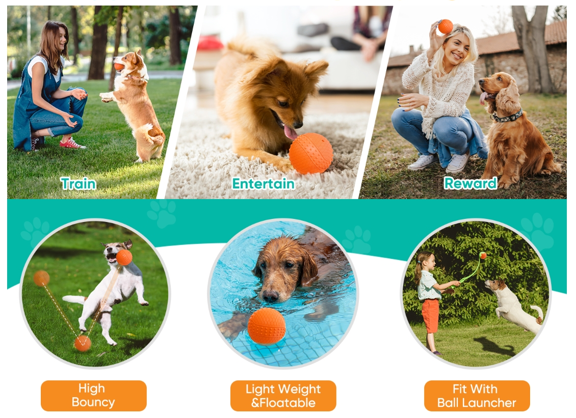 Why you need Wehao Squeaky Dog Ball
