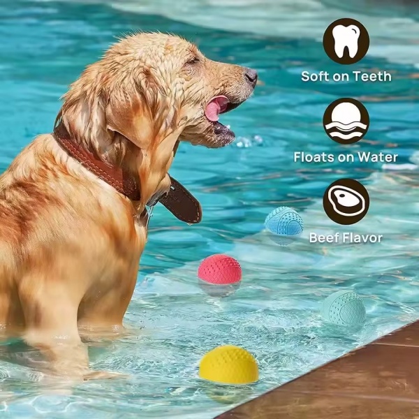Floating Fun for Water Play