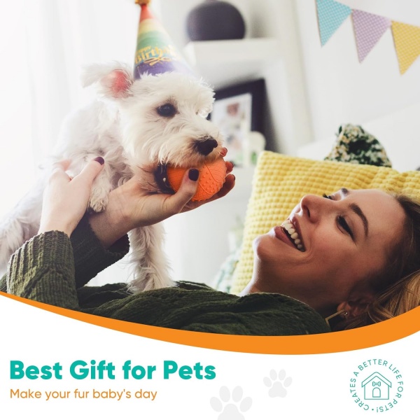 Best Gifts for Pets