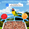 Smart Bird Feeder Camera Solar Powered AI Recognition 1080P HD