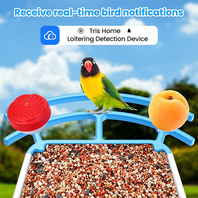 Smart Bird Feeder Camera Solar Powered AI Recognition 1080P HD