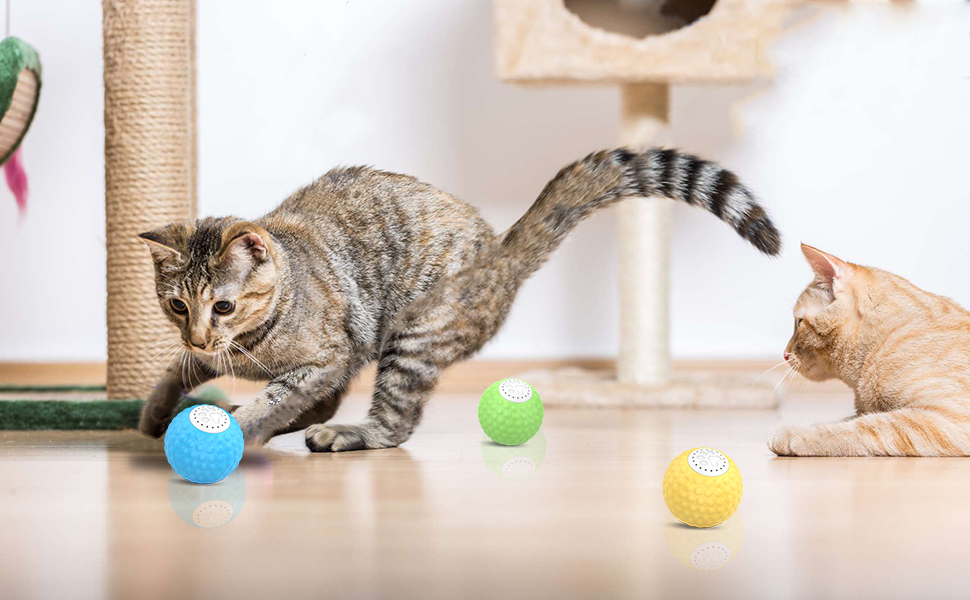 cat toys balls