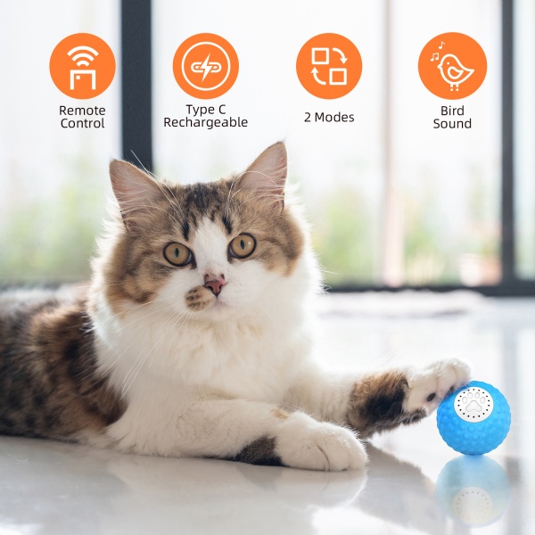 Remote Controlled Cat Toy