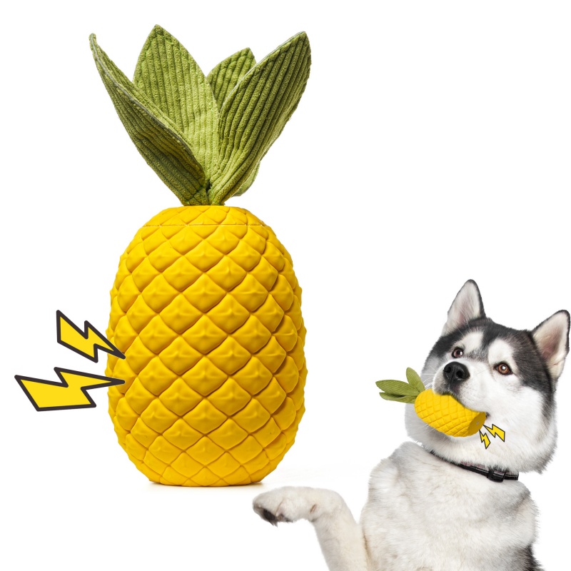 Squeaky Toys