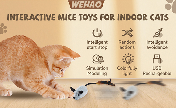 1.cat toys mouse