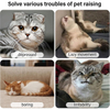 Wehao Smart Interactive Automatic Cat Mouse Toy