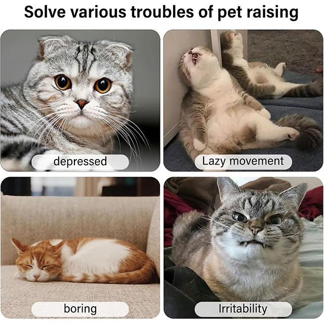 Wehao Smart Interactive Automatic Cat Mouse Toy